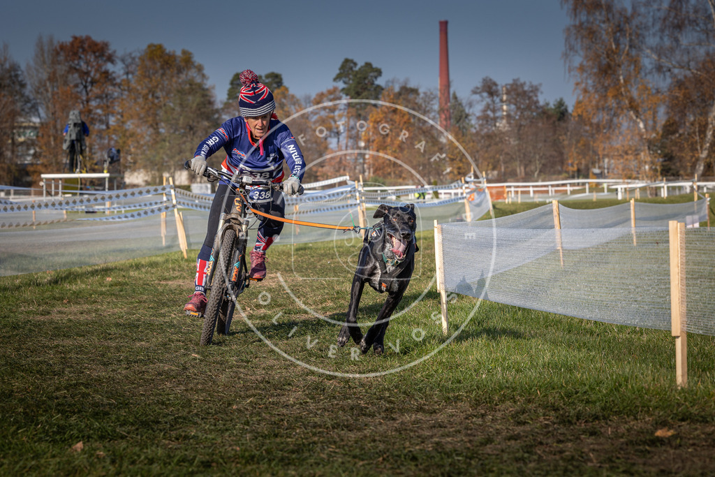 CaniXpix_0L8A7676 | Hundefotografie, Tierfotograf, Pfotenfotografie, Fotoshooting Hund, Hunde Portrait, Hundesport, Hundeportraits, Heideshooting, Hunde, Sportfotograf, Hundefotograf, Turnierhundsport, THS,  - Realisiert mit Pictrs.com