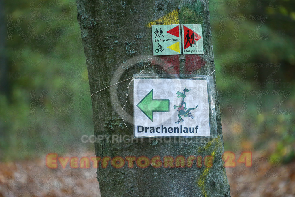 221030_0849_EX1_5960 | Sportfotografie im Rhein-Sieg Kreis, Köln, Bonn, NRW, Rheinland Pfalz, Hessen, etc. Unser Tätigkeitsfeld umfasst den Laufsport vom Volkslauf über den Marathon, Duathlon, Triathon bis zum Ultralauf wie Kölnpfad Ultra oder Schindertrail.