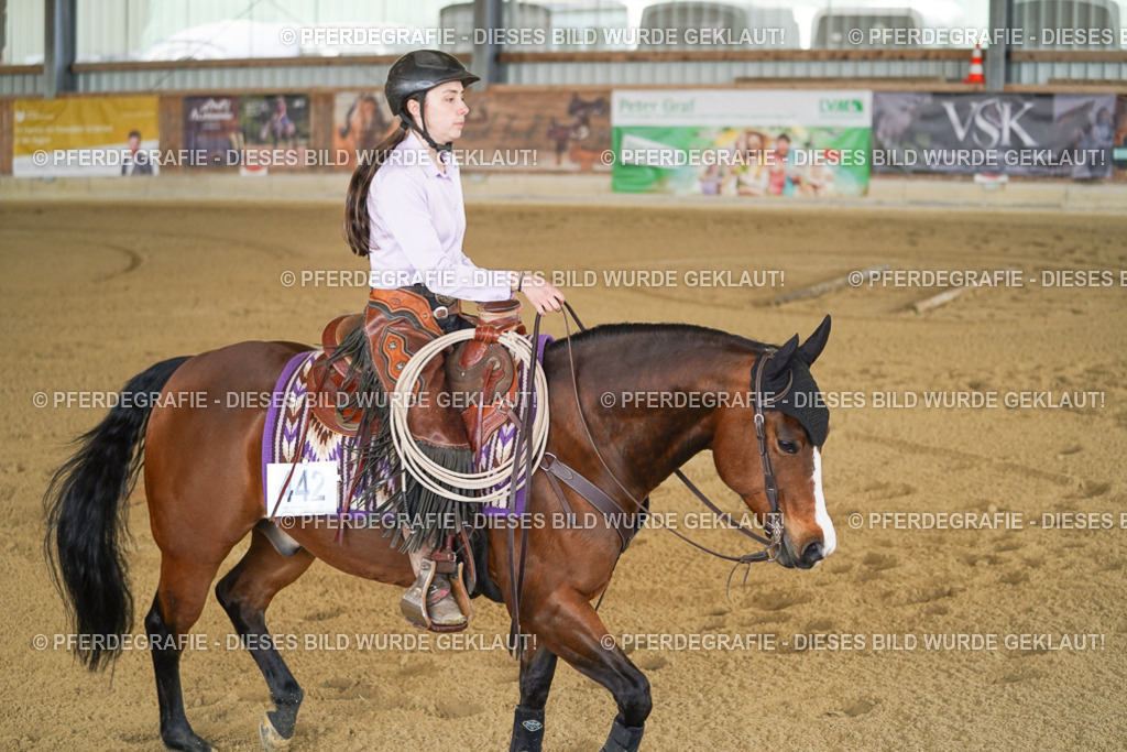 DSC06167 | Pferdegrafie