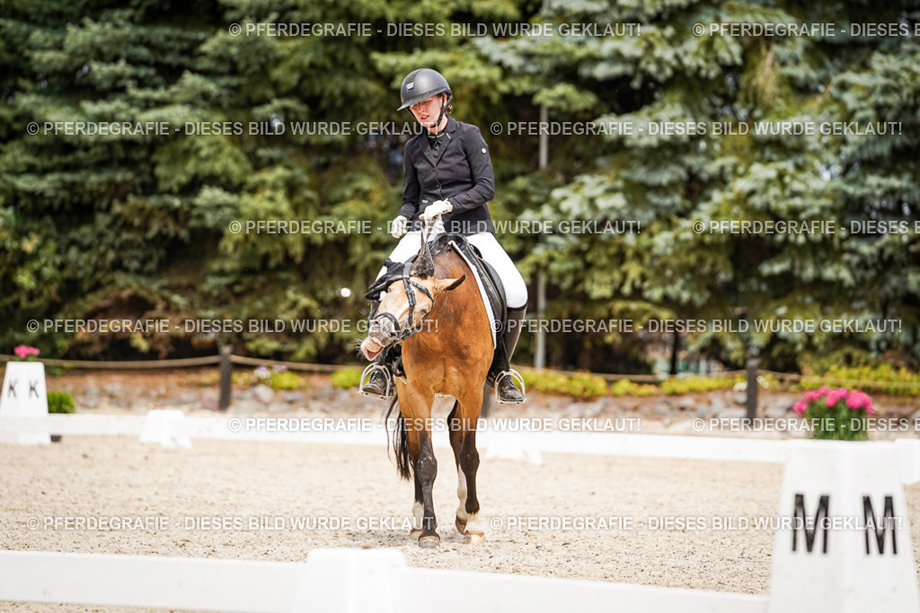 DSC04495 | Pferdegrafie