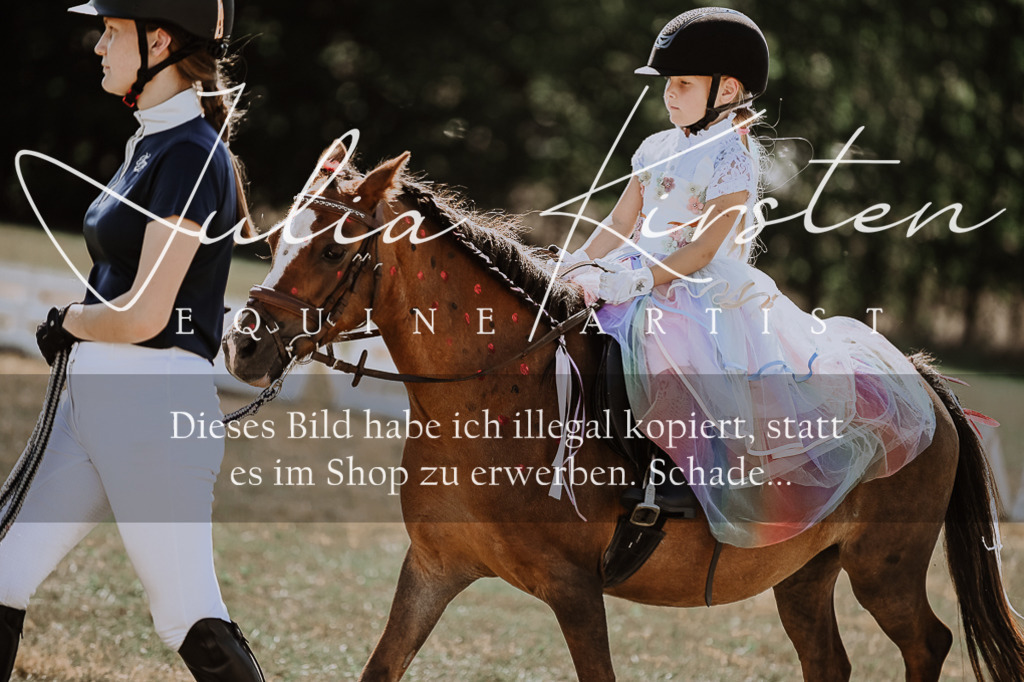 DSC_9104 | Pferde- und Turnierfotografie in Westsachsen. Pferdeportraits, Auftragszeichnungen und intuitive Kunst.
