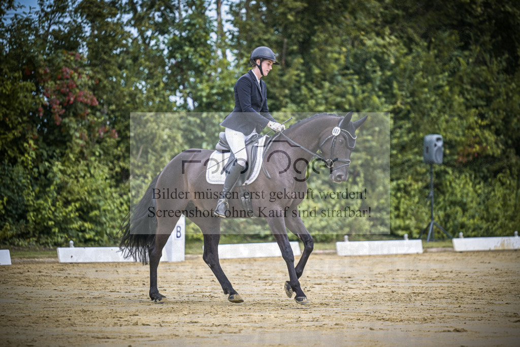 DOS_1355 | Entdecke hochwertige Reitturnierfotos von Foto Oger. Professionell, emotional und authentisch – jetzt Lieblingsmomente im Shop bestellen.Deutschlandweite Turnierfotografie. - Realisiert mit Pictrs.com