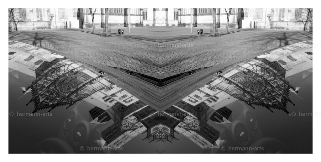 Hermann-Arts_Spiegelbilder_082 | Photo Foto Kunst Art schwarzweiss Bilder Rheine Münster Berlin Blumen 