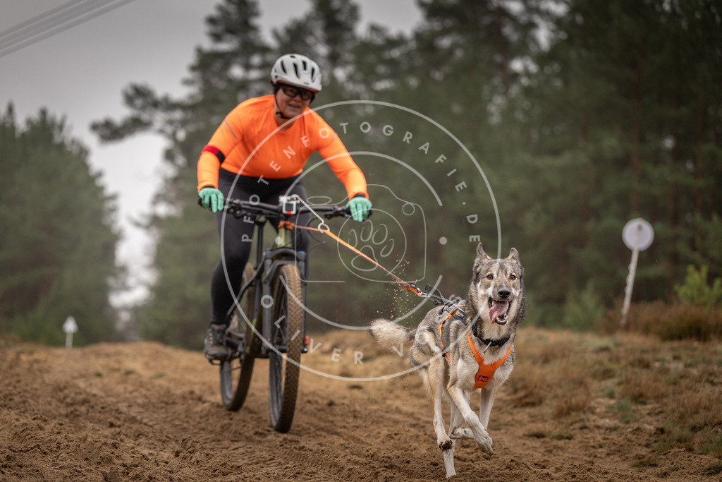 Pfotenfotografie_DV3A3560 | Hundefotografie, Tierfotograf, Pfotenfotografie, Fotoshooting Hund, Hunde Portrait, Hundesport, Hundeportraits, Heideshooting, Hunde, Sportfotograf, Hundefotograf, Turnierhundsport, THS,  - Realisiert mit Pictrs.com