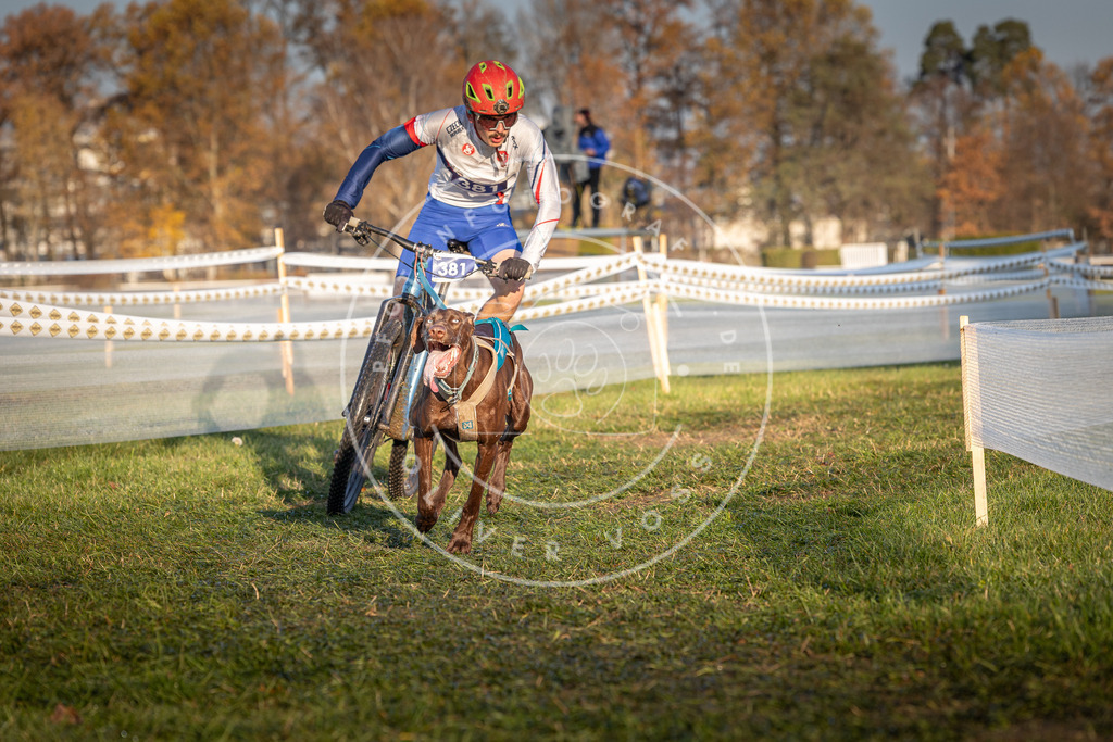 CaniXpix_0L8A3740 | Hundefotografie, Tierfotograf, Pfotenfotografie, Fotoshooting Hund, Hunde Portrait, Hundesport, Hundeportraits, Heideshooting, Hunde, Sportfotograf, Hundefotograf, Turnierhundsport, THS,  - Realisiert mit Pictrs.com