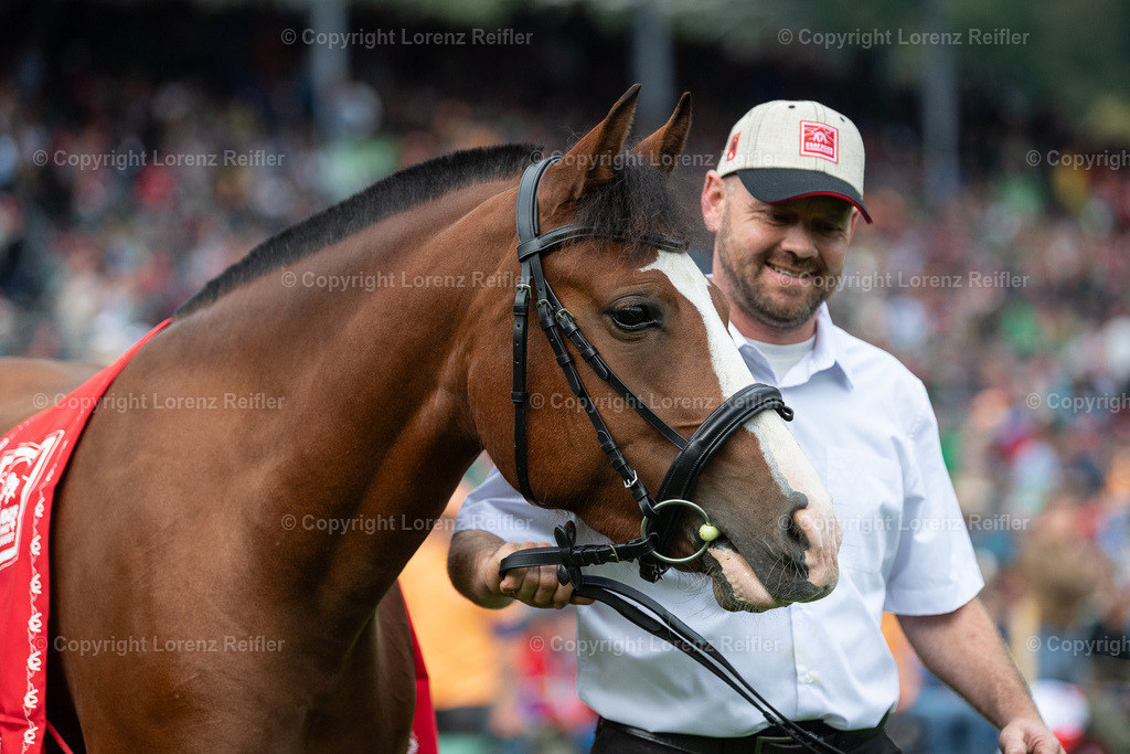Schwingen -  ESAF 2025 Samstag | Mollis, 30.8.25, Schwingen - ESAF Samstag.