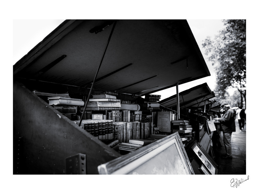 20240530-124956 PARIS aves Marlis _020-2_045335 | Herzlich willkommen auf meiner Seite! Ich bin Elke Wallnisch, Deine Fotografin für lichtstarke Momente. Der Name steht für alles, was mich mit der Fotografie verbindet: Das Licht und seine machtvolle Wirkung auf eine Situation oder unsere Stimmung - Realisiert mit Pictrs.com