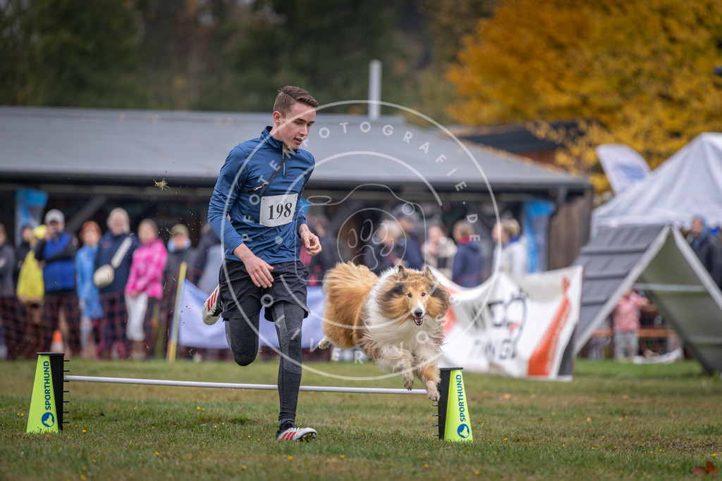 Pfotenfotografie_DV3A0782 | Hundefotografie, Tierfotograf, Pfotenfotografie, Fotoshooting Hund, Hunde Portrait, Hundesport, Hundeportraits, Heideshooting, Hunde, Sportfotograf, Hundefotograf, Turnierhundsport, THS,  - Realisiert mit Pictrs.com