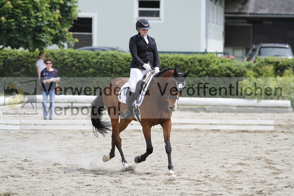 _MG_8864 | equestrian-live-com