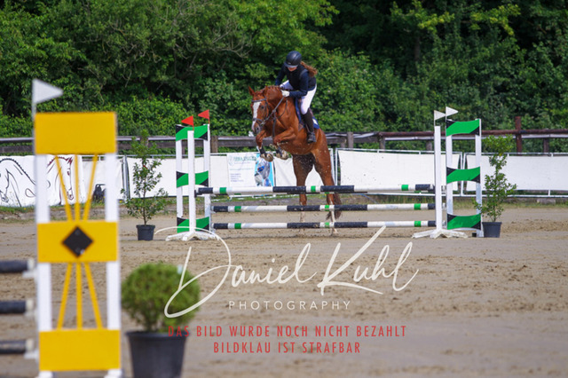 DKP41356 | Turniersportfotografie; Pferdefotografie; Dressurfotografie