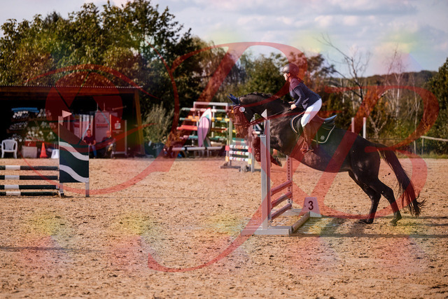 2026_10_03_Siefer-Hof_160107_Z81_81762242 | Professionelle Reitsport-, Turnier- und Eventfotografie von Robert Broda. Galerien mit ausgewählten und bearbeiteten Bildern direkt online ansehen und bestellen.