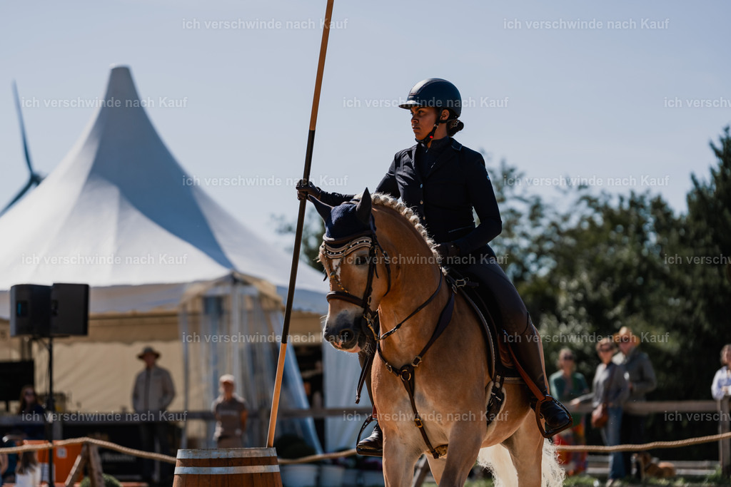 Tanesha5FHC2025-08797 | working equitationturnier fotograf videograf stoibphotography marixx film working equitation deutschland reitsport turnierfotografie eventfotografie equestrian events