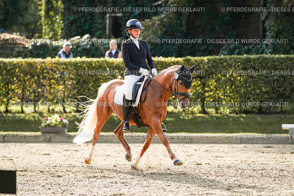 DSC05237 | Pferdegrafie