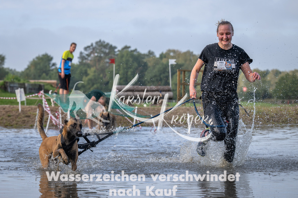 0954_ZZ91330 | kk-dogfotos