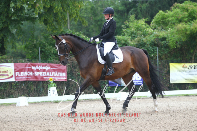 DKP40165 | Turniersportfotografie; Pferdefotografie; Dressurfotografie