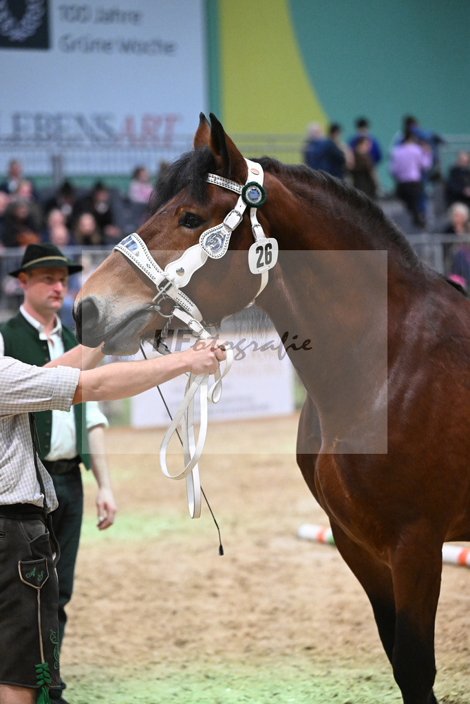 Kat-Nr. 26 Finerl v. Rissbach_Rasshofer_1260371 | hf-fotografie - Realisiert mit Pictrs.com