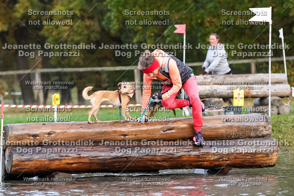 Dog Paparazzi - Strongdog 10-25-6843 | Dog Paparazzi Jeanette Grottendiek Fotografie & Videografie - Realisiert mit Pictrs.com