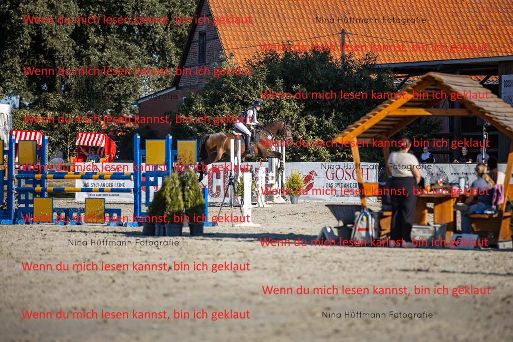 BK1A7798 | Turnierbilder Turnierfotos Nina Hüffmann Turnierfotografie Pferdefotografie Tierzeichnung Haustierzeichnung Pferdezeichnung Hundezeichnung Videograf  - Realisiert mit Pictrs.com