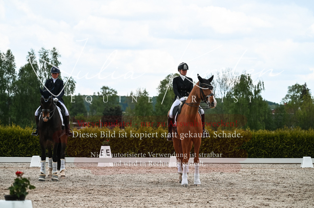 20230514_JK-Röhrsdorf-20-282 | Pferde- und Turnierfotografie in Westsachsen. Pferdeportraits, Auftragszeichnungen und intuitive Kunst.