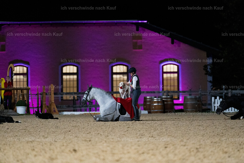 Gala-553 | working equitationturnier fotograf videograf stoibphotography marixx film working equitation deutschland reitsport turnierfotografie eventfotografie equestrian events
