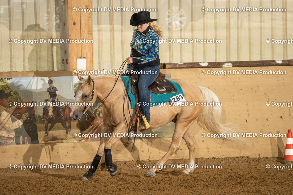 LAU00776 | dv-media-shop - Realisiert mit Pictrs.com