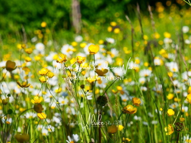IMG_6916 | Fotografie für »mehr« Persönlichkeit ... von Anfang an - authentisch natürlich emotional - Geburt, Kinder und Familie, Entrepreneure, Kreative, Kamera-Scheue, Interessierte. Mit Empathie und ohne Posen erstelle ich Bilder mit "Wieder-Erkennungs-Gefühl".