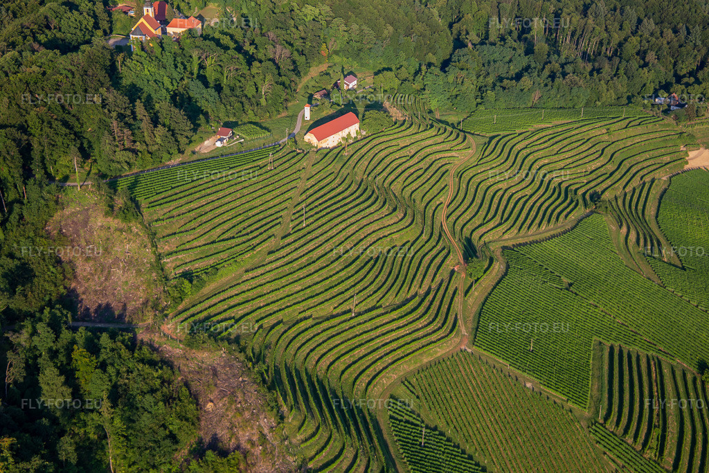 Vue aérienne: Église de Župnijska cerkev sv. Marije Vnebovzete et Café Huda Liza au-dessus des vignobles du Vurberg à le quartier Vurberk in Duplek dans le département Slovénie, Slovénie. Photo: IMG_137360.jpg prise le 08/07/2023 par Werner Riehm/FLY-FOTO.eu – Résolution de l'original: 5472 x 3648 px