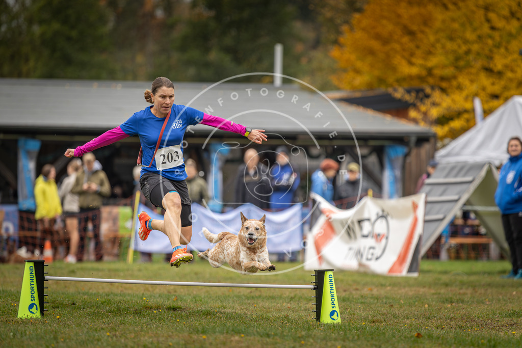 Pfotenfotografie_DV3A1653 | Hundefotografie, Tierfotograf, Pfotenfotografie, Fotoshooting Hund, Hunde Portrait, Hundesport, Hundeportraits, Heideshooting, Hunde, Sportfotograf, Hundefotograf, Turnierhundsport, THS,  - Realisiert mit Pictrs.com
