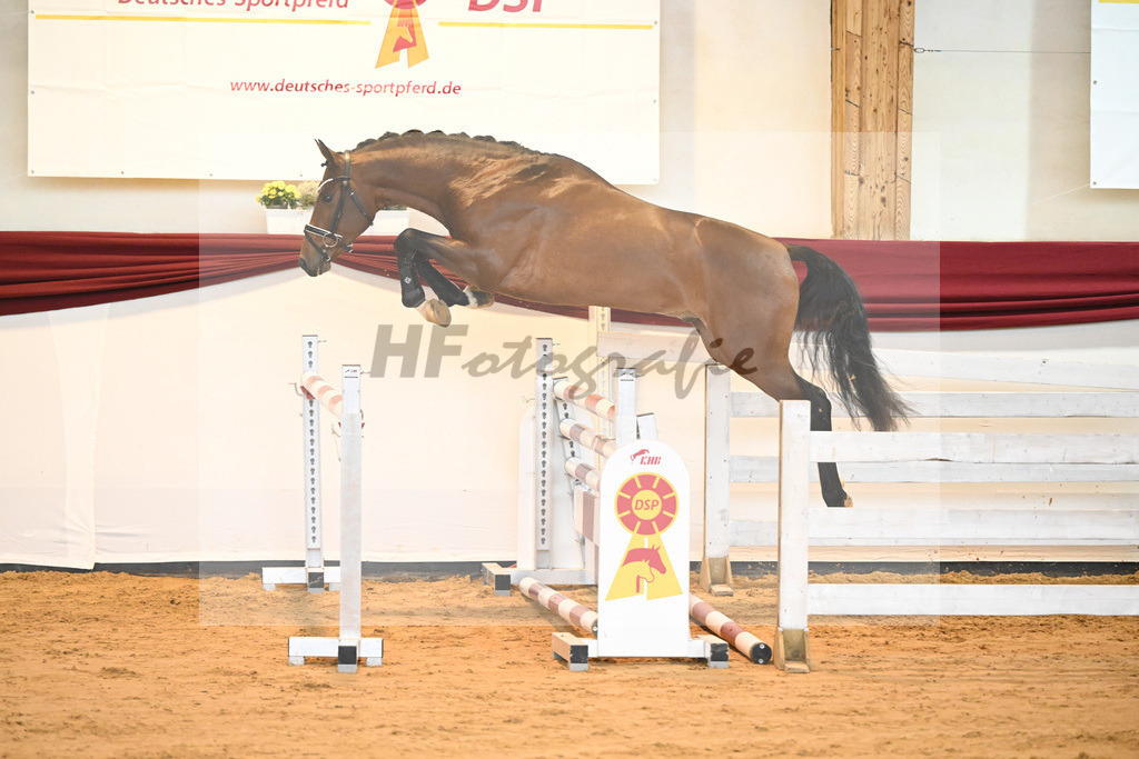 Kat-Nr. 1 v. Alaba_Wilbers_66221105 | hf-fotografie - Realisiert mit Pictrs.com