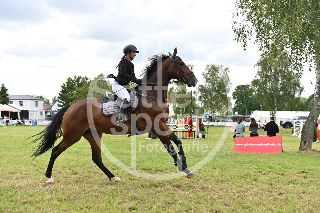 DSC_3915 | sattelsport - Realisiert mit Pictrs.com