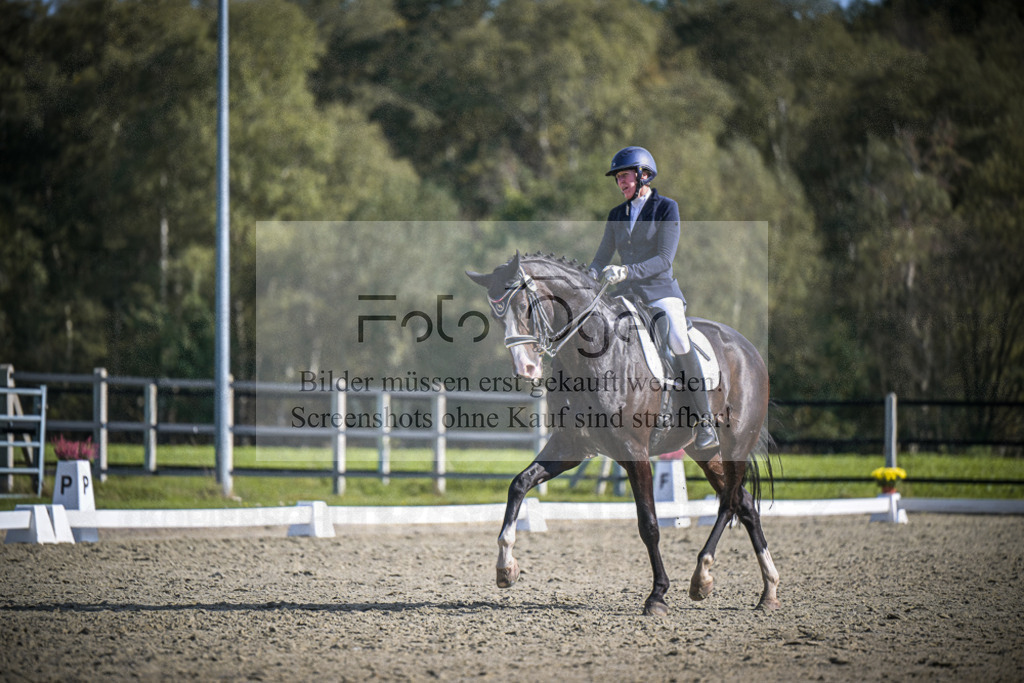 DOS_2377 | Entdecke hochwertige Reitturnierfotos von Foto Oger. Professionell, emotional und authentisch – jetzt Lieblingsmomente im Shop bestellen.Deutschlandweite Turnierfotografie. - Realisiert mit Pictrs.com