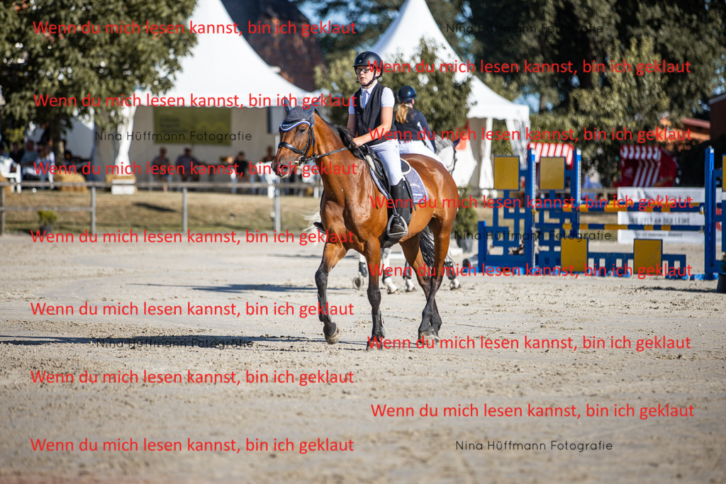 BK1A7399 | Turnierbilder Turnierfotos Nina Hüffmann Turnierfotografie Pferdefotografie Tierzeichnung Haustierzeichnung Pferdezeichnung Hundezeichnung Videograf  - Realisiert mit Pictrs.com