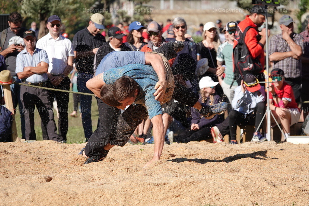 DSC01622 | Schwingen - Realisiert mit Pictrs.com