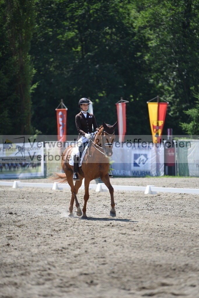 DSC_1391 | equestrian-live-com