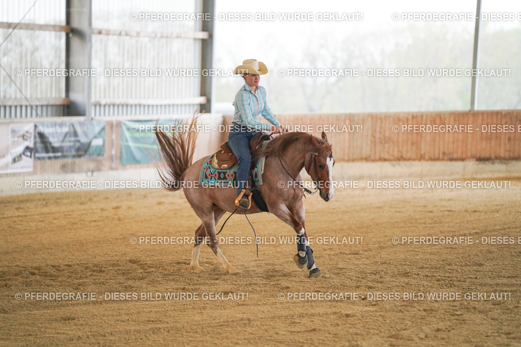 DSC08660 | Pferdegrafie