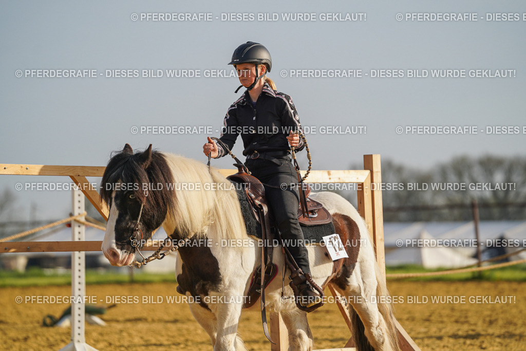 DSC00239 | Pferdegrafie