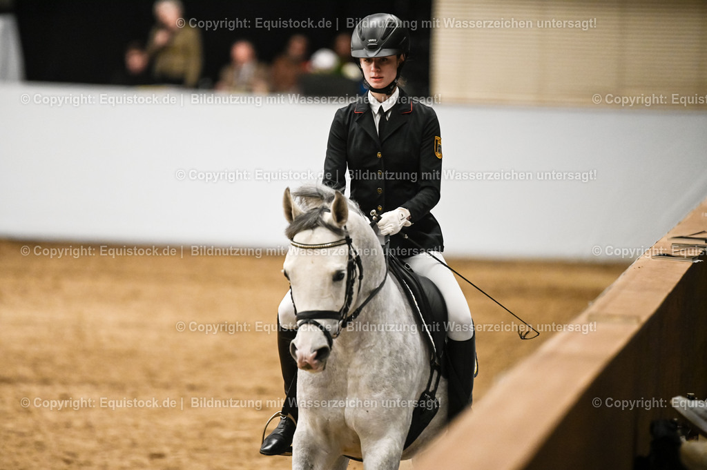 20260307_Hengstvorstellung-Marbach_0427 | equistock