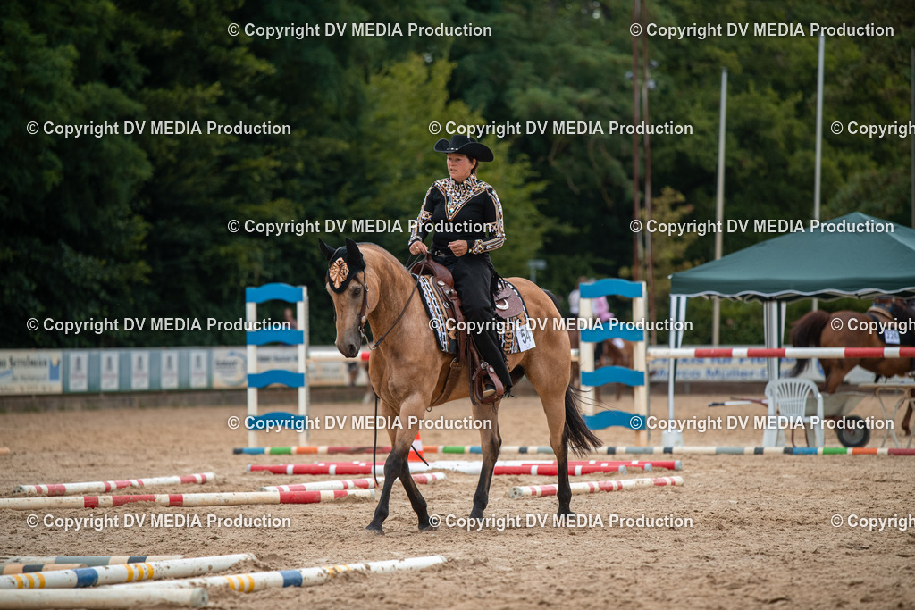 ZS2_7886 | dv-media-shop - Realisiert mit Pictrs.com