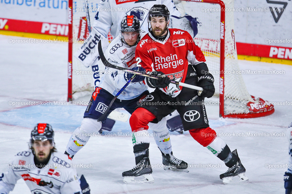 KoeDEL14032401031 | 14.03.2024, Köln, Eishockey, Penny DEL, Pre-Playoffs Spieltag 3, Lanxess-Arena, Kölner Haie - ERC Ingolstadt: Patrik Virta (ERC Ingolstadt) gegen Alexander Grenier (Kölner Haie)