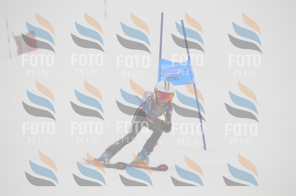 C0920 | holidayphoto