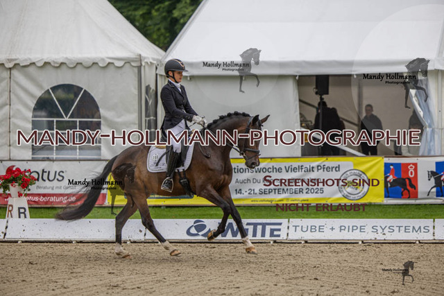 27.07.25 OLT D1 48 DR (30) | mandyhollmannphotographie