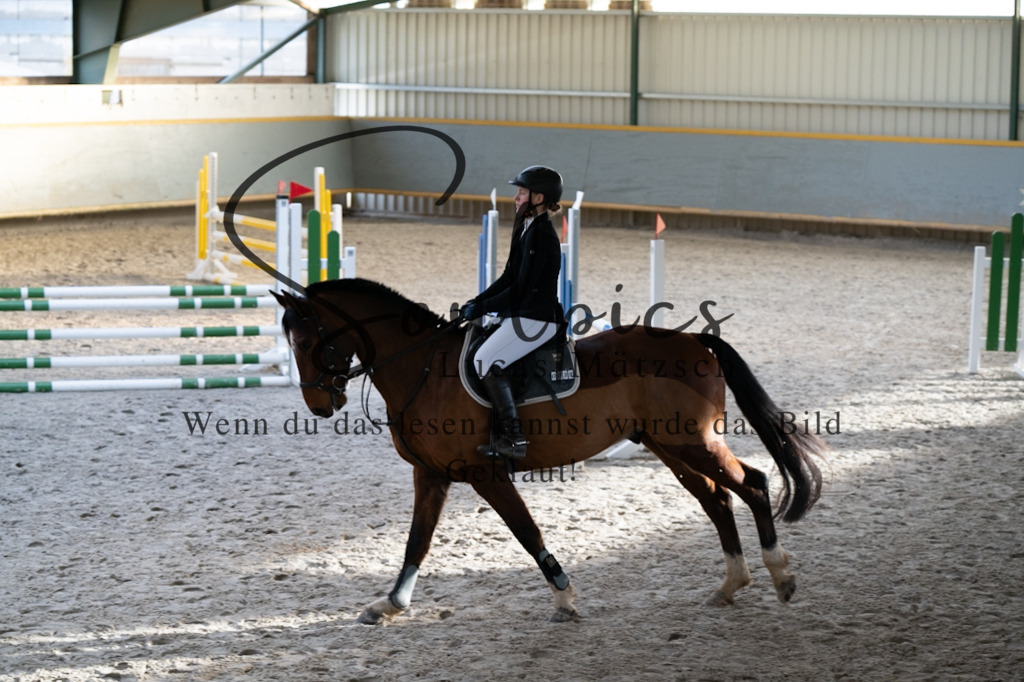 A7V01774 | Pferdefotograf