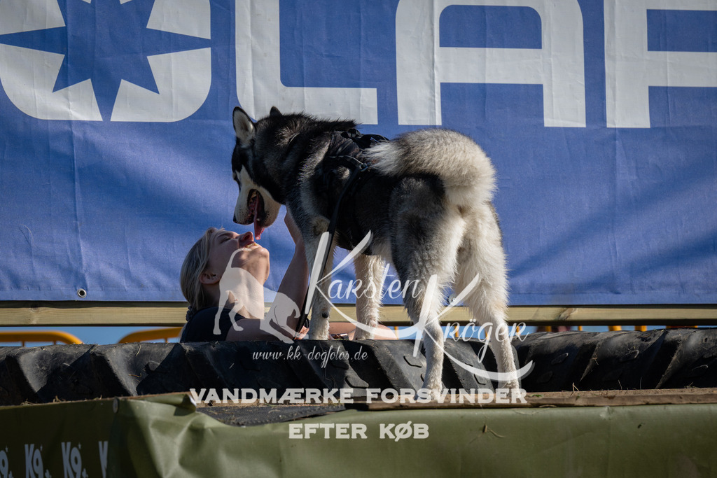 1022_ZZ98321 | kk-dogfotos