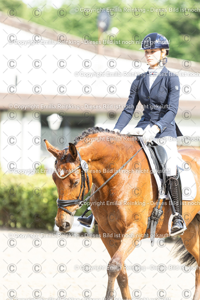 CL5A6251-2 | Emilia Reinking Fotografie - Realisiert mit Pictrs.com