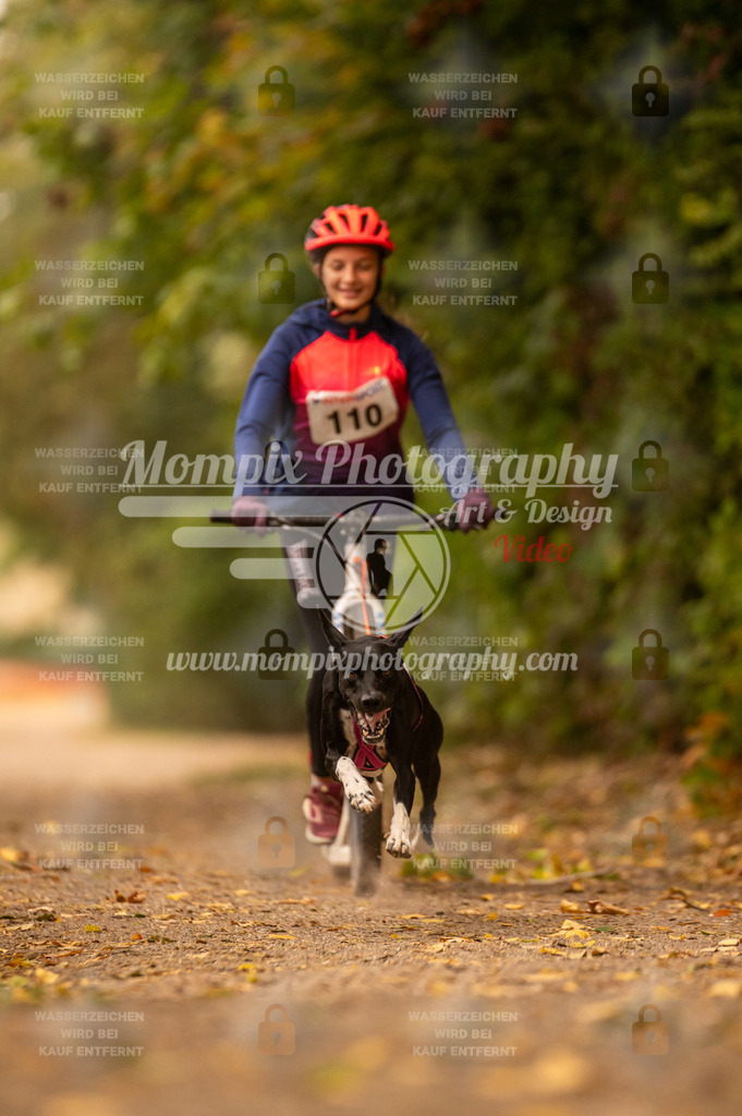 CDLBDB_14_10_2023_Samedi-170 | mompixphotography