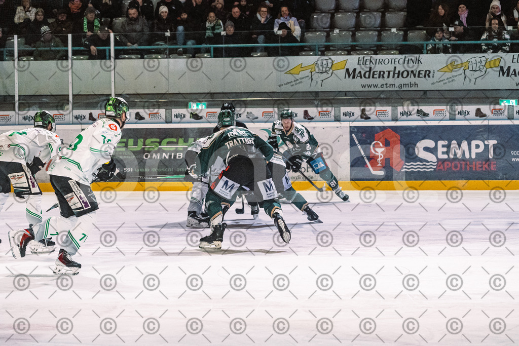 Erding_vs_Alligators_02_01_2026-37 | Höchstadt Alligators Fotogalerie: Eishockey-Action aus Franken. Professionelle Spielfotos, Portraits & Stadionbilder zum Download. Jetzt entdecken! - Realisiert mit Pictrs.com