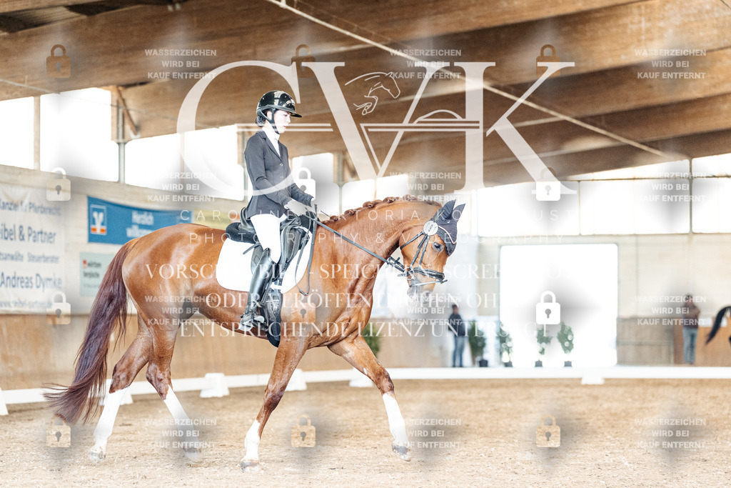 CK901283 | Turnierfotografie Pferdefotografie Trier Rheinland-Pfalz Pferdesport Reitsport Tierfotografie Sportfotografie Pferdevideo Pferdevideografie Equestrianvideography equestrianphotography  - Realisiert mit Pictrs.com