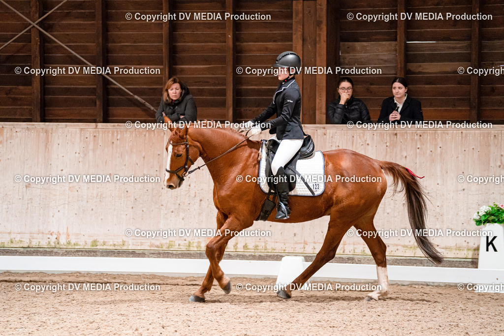 Dressur Tag 2-418 | dv-media-shop - Realisiert mit Pictrs.com