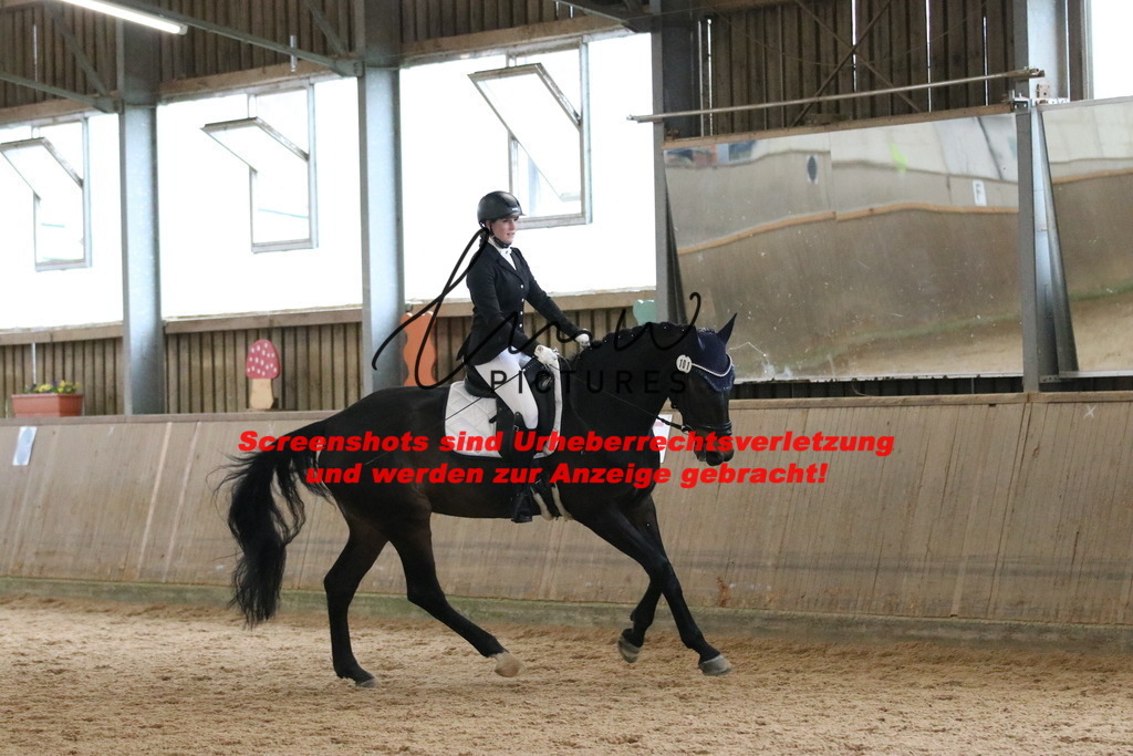 IMG_6908 | lmwpictures - Realisiert mit Pictrs.com