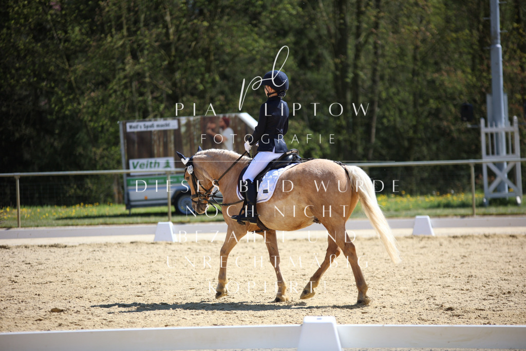 IMGT1311 | pl-fotografie